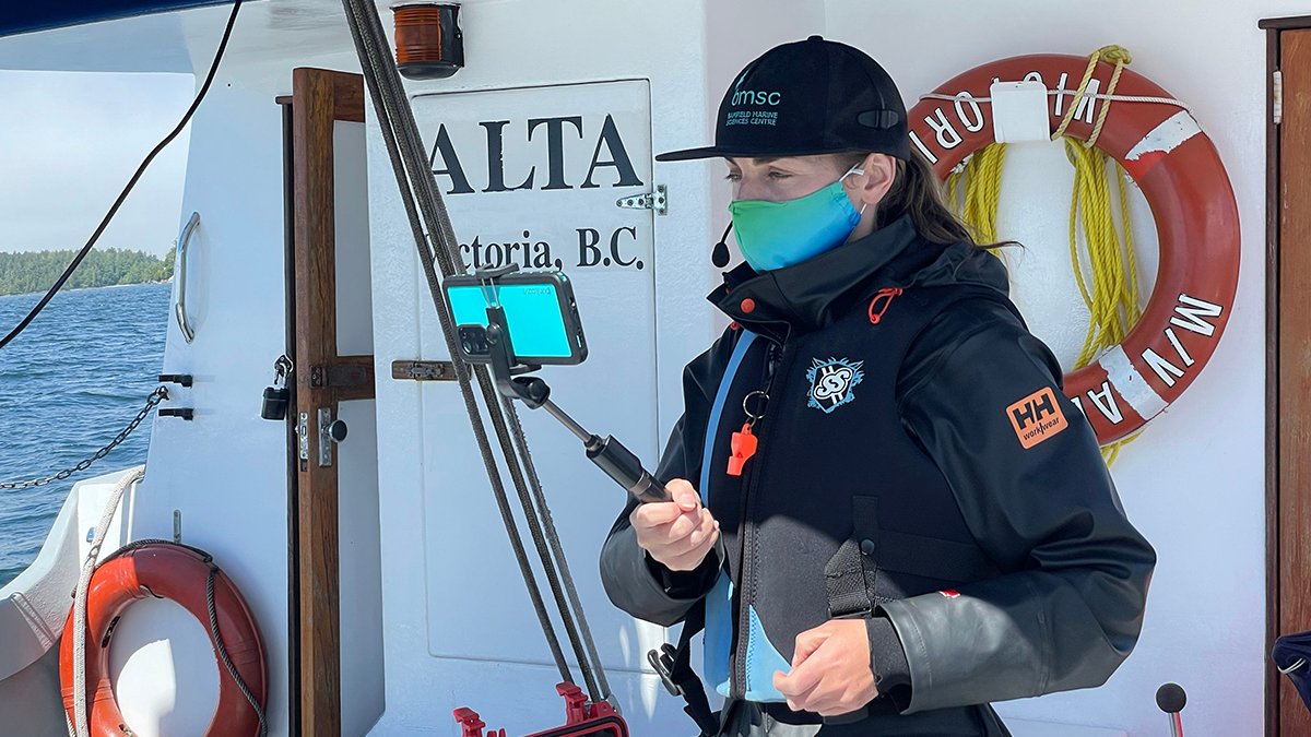 BamfieldMSC's tweet image. This fall, join our highly popular #BMSCLive team for virtual field trips and labs!
Our scheduled #BMSCLive events are available to K-12 Canadian students throughout November at a discounted rate.

See our website for details:
bit.ly/3p1D2M5