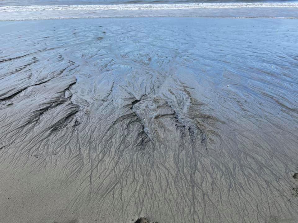 QueensRule206's tweet photo. I took my prayers to mother earth. To the ocean. I listened to the messages on the waves & connected with the songs of the ancestors, bathed in the regenerative light of the sun & welcomed in what is new, what is good, what is true & beautiful.
π β¨β¨ #TheQueensProject https://t.co/wrE0fVjT4m