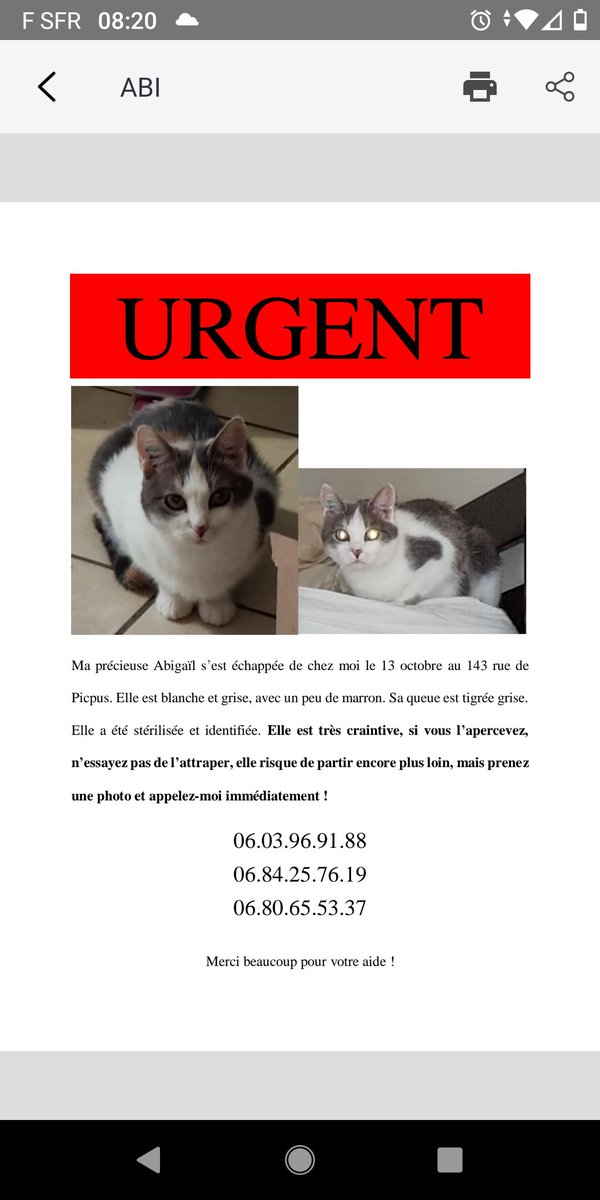 Chat D Oc Pauvre Abi Perdue Certainement Sur La Petite Ceinture Du 12e Si Vous Pouvez Nous Aider A Afficher Svp C Est Ce Qui Nous Manque T Co Dguwjyo4gt