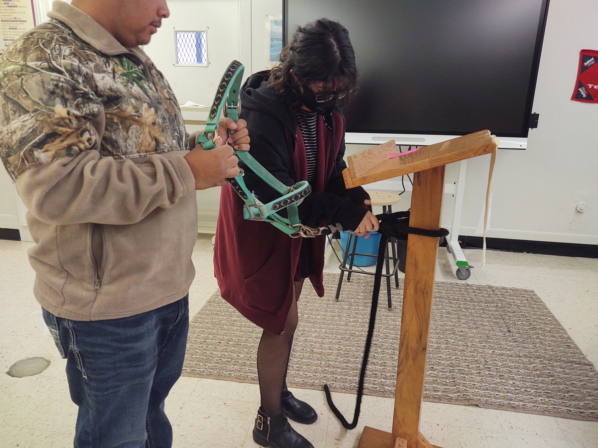 BFTerryCTE's tweet photo. Ms. King's Equine Science class this week learned how to tie quick release knots. Here are some pictures of students learning and tying using a halter and lead rope! https://t.co/F6GRORf7xs