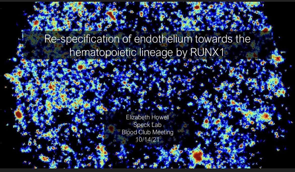 Final lab meeting presentation today 😊😬👩🏼‍💻