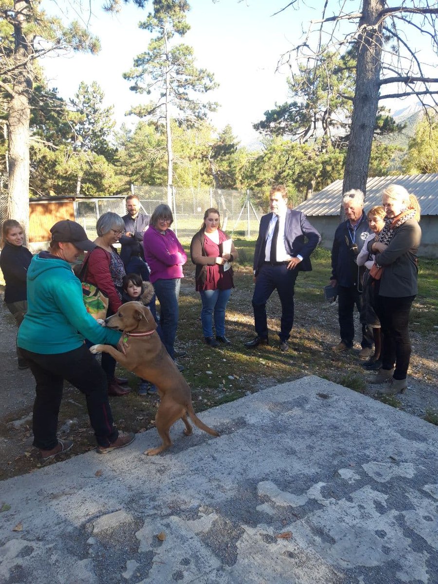 CCastaner's tweet photo. Le plan de relance, c'est aussi des investissements pour la protection animale !
Le refuge animalier de l'Ubaye a bénéficié de 60 000 € d'aides pour :
- créer une infirmerie sur le site de Saint-Pons ;
- mener des opérations de stérilisation de chats dans le Pays de Seyne. https://t.co/s6qYFdHz6d