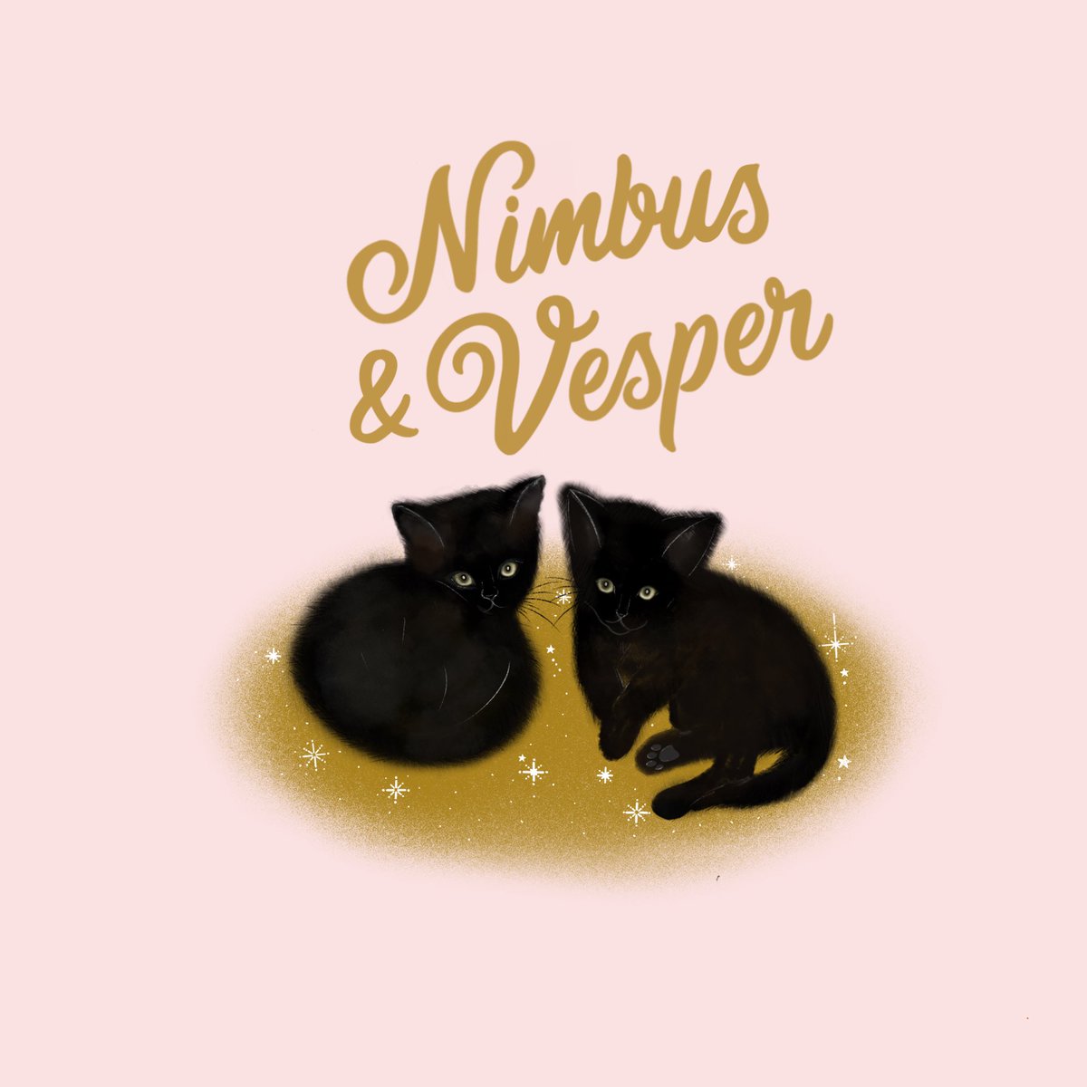 chubbycherubco's tweet photo. In other witchy news, I’ve just adopted these two beautiful boys! 🐈‍⬛🐈‍⬛ Nimbus and Vesper 🖤☁️✨ needless to say I’ve got barely any work done this week. https://t.co/n8bp5Rjvf2