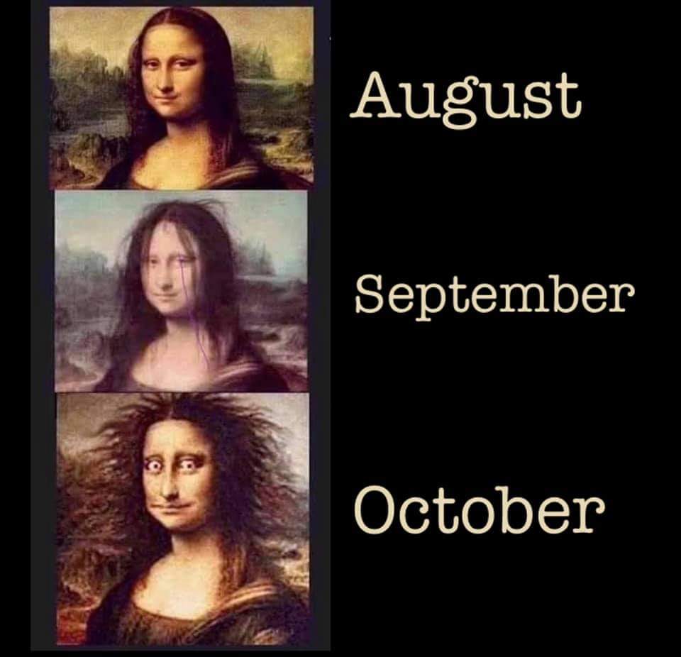 teachergoals's tweet photo. Accurate. 💯 https://t.co/KqQuKDImHa