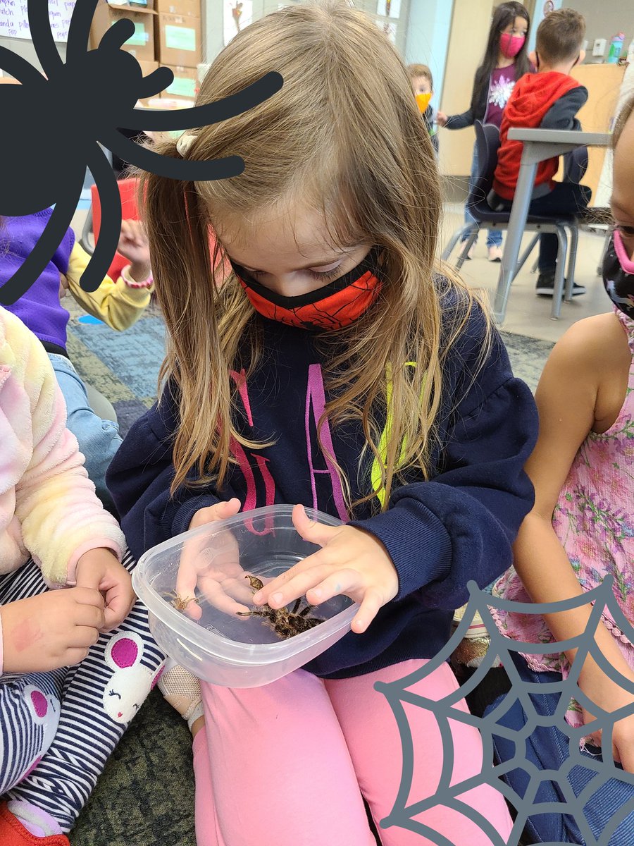 Mrs.Frew tweet media