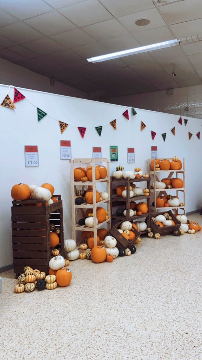 Halloween preparations underway at Whetstone 🎃🍂 <a href="/GinaWoodhead19/">Gina Woodhead</a> <a href="/marc_angrave/">Marc Angrave</a> <a href="/YvonneKS11/">Yvonne Smith</a> <a href="/mycoopfood/">Central Co-op Food</a>