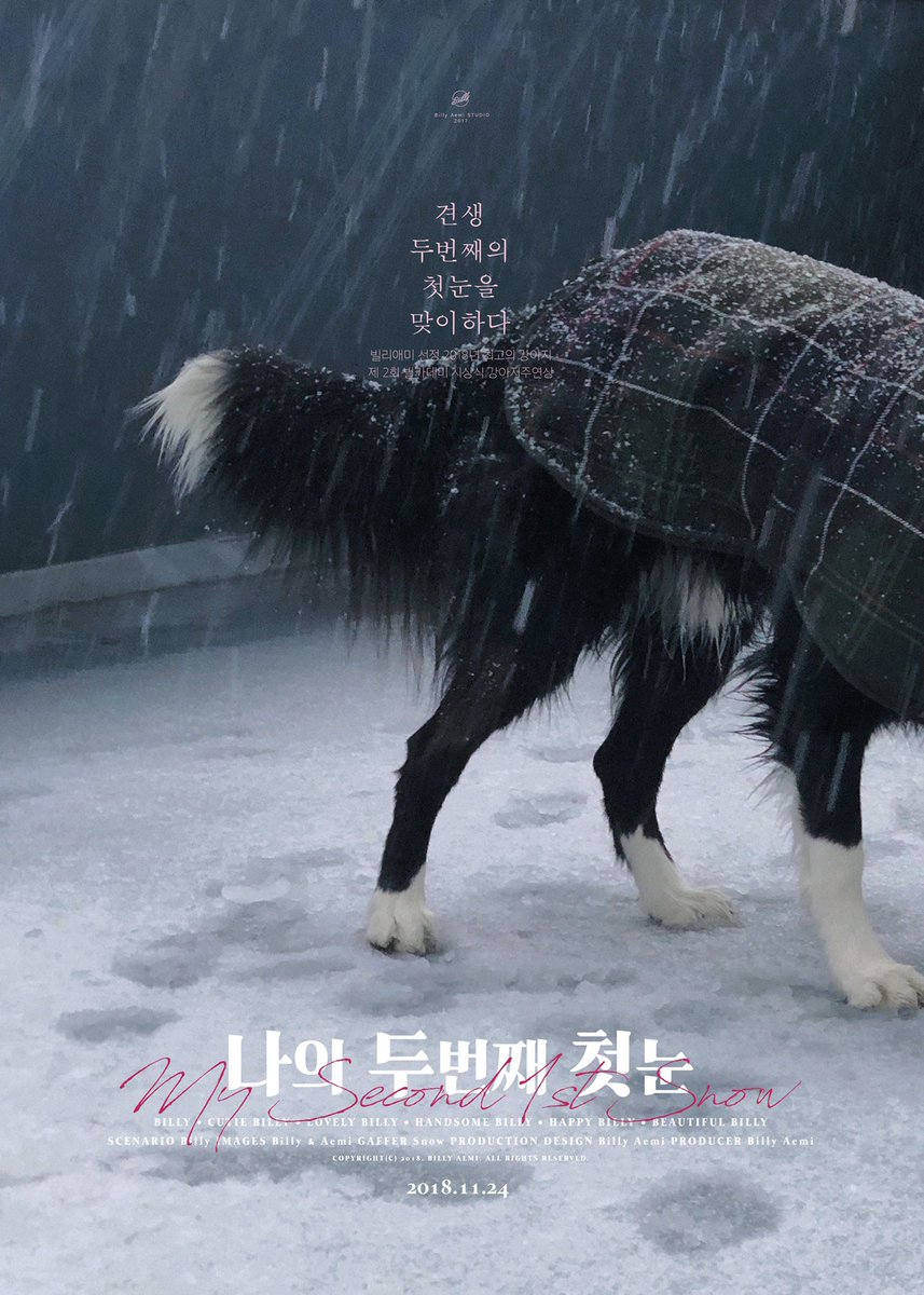 Billy_Broccoli_'s tweet photo. 누나가 할줄아는게 이런거밖에 없다.. https://t.co/mSGmAs7Nhd