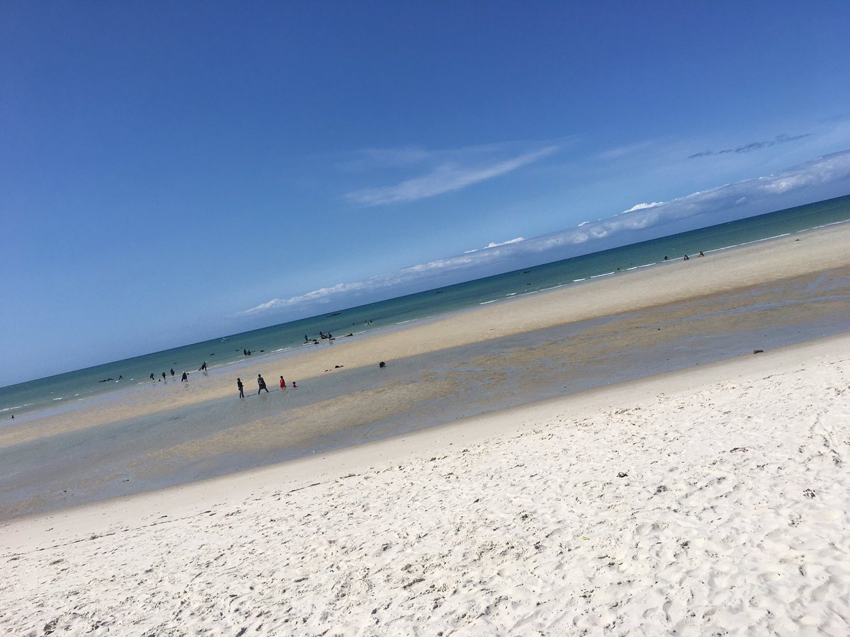 Pasco Nkololo tweet media