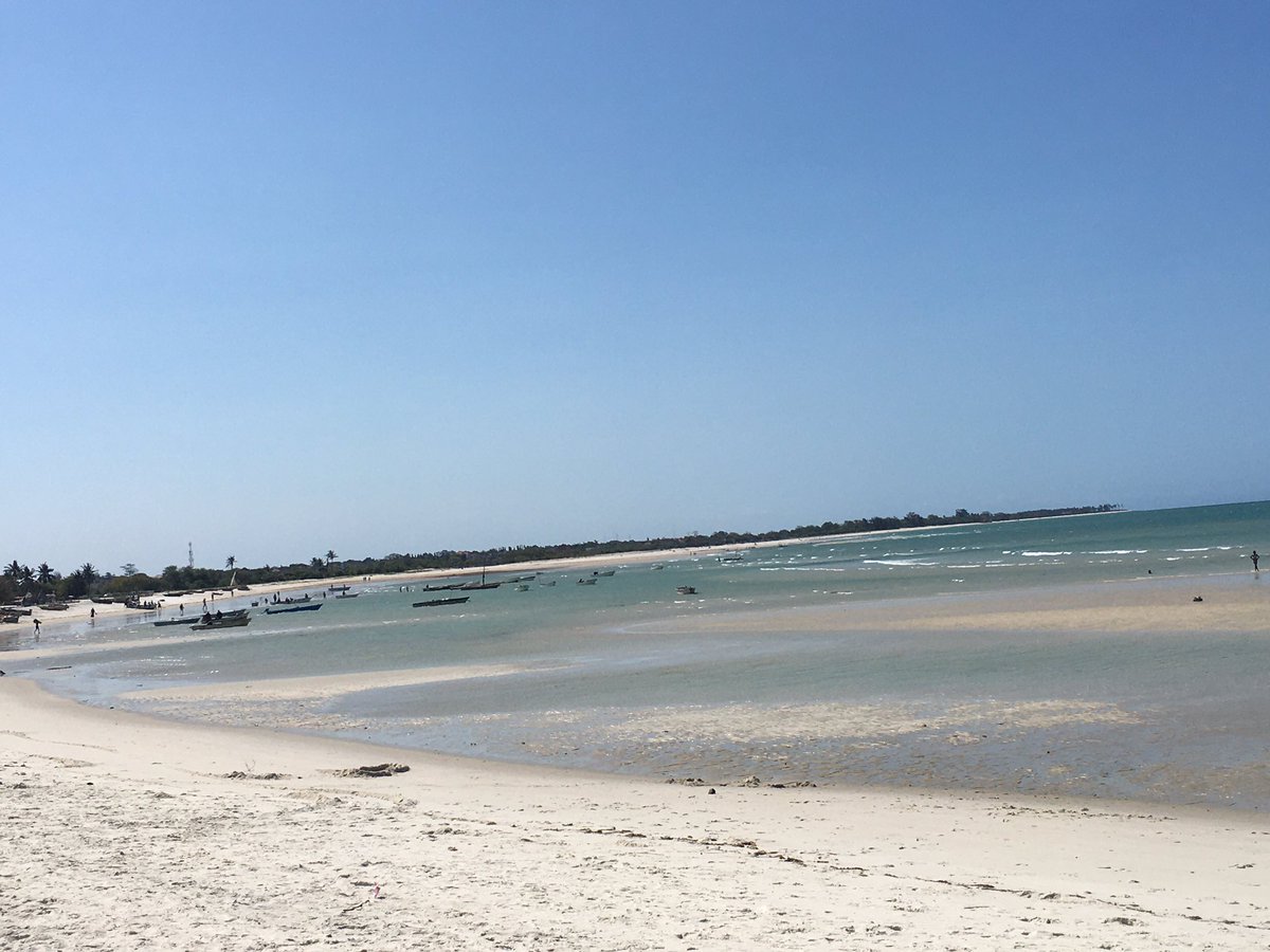 Pasco Nkololo tweet media