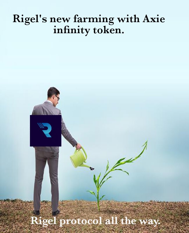 EgsoncleCrypto's tweet photo. BUY $RGP TOKEN!
@Rigelprotocol, the #yieldfarming is promising and result oriented.
You lend and get a good return on investment.
Hurry now to buy and to enjoy a greater liquidity system on our protocol.
#RGP #Rigelprotocol #Axieinfinity #BSCGems #Bullwallet #DEX #DeFi #Binance https://t.co/zThSeJdW7l