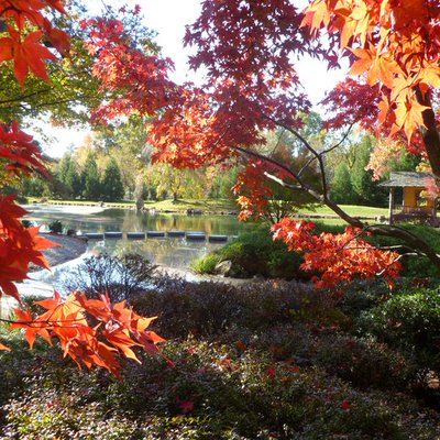 Richmond, VA Tourism's Photo