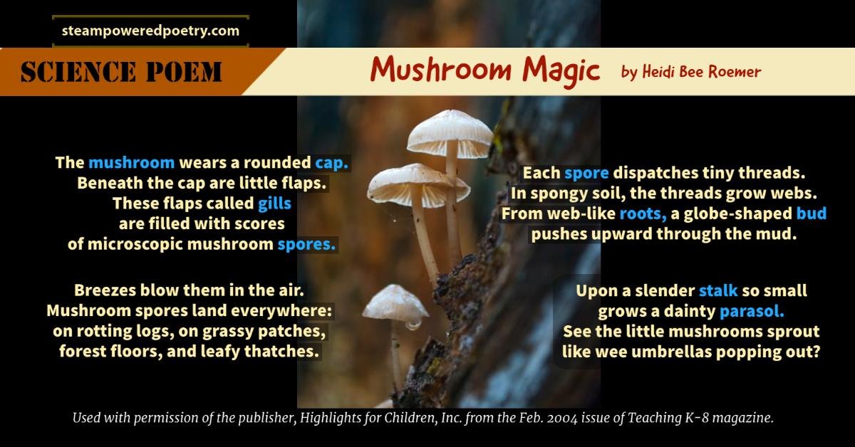 steampoweredpo1's tweet photo. Our #Poetry Packet includes 45 #STEAM #POEMS. Once blog renovation is done #Teachers  will be able to download poems like these to share w #Student #Video #contestants. #STEM #STEMeducation #teachertwitter #teacher #Video #VIDEOS #Contest #ContestAlert ▶️https://t.co/jj96WOcB7F https://t.co/fcajgsTDEP