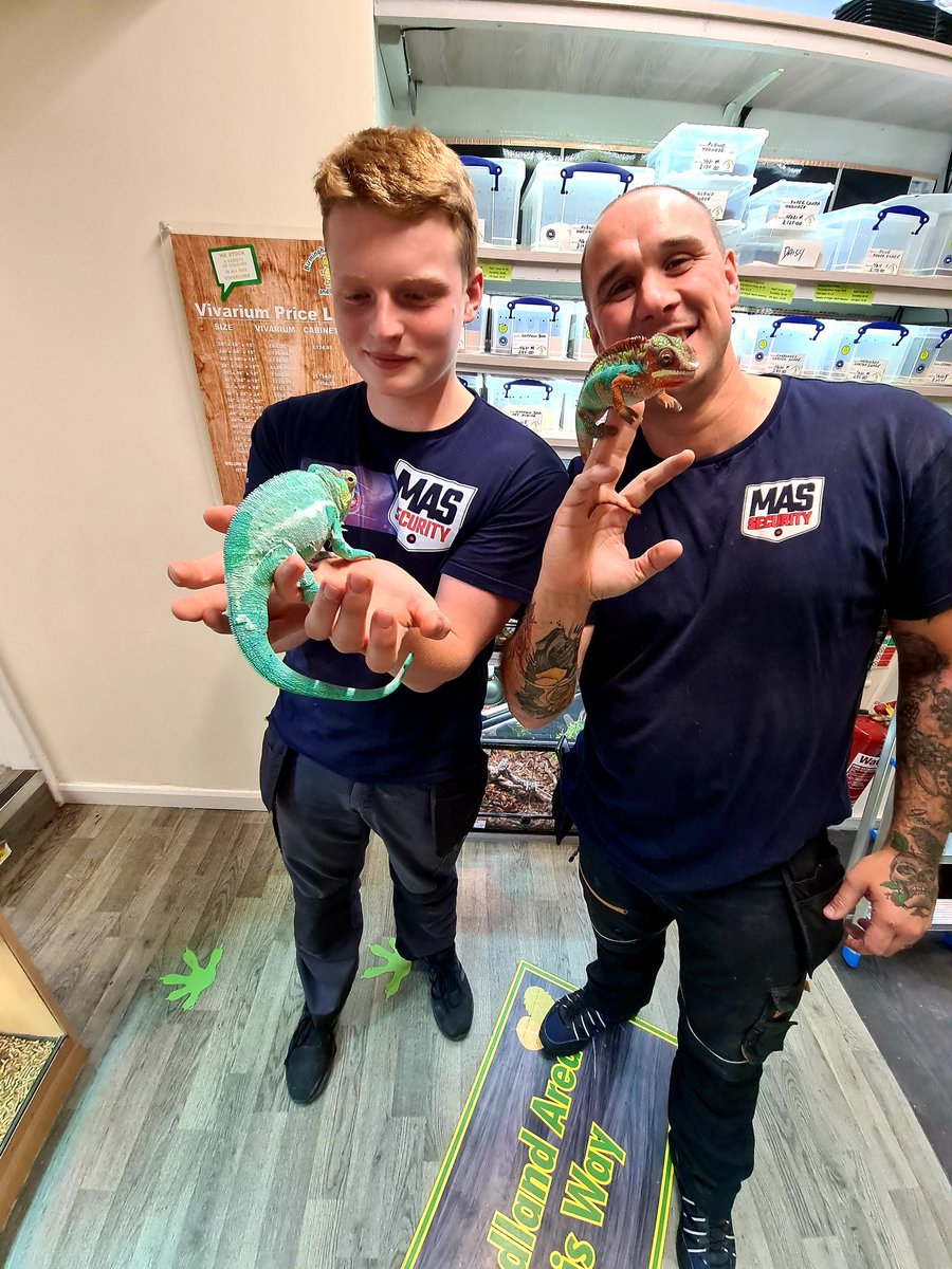 MASSecurity1's tweet photo. Mega day for the #MASengineers as they carried out phase 2 of the Security instalation at Birmingham Reptiles with a Grade 2 Monitored Intruder Alarm System with wireless keypad
If you have any questions on our #Intruder #Alarm or Service Plans please get in touch. https://t.co/PzeBtaEib4