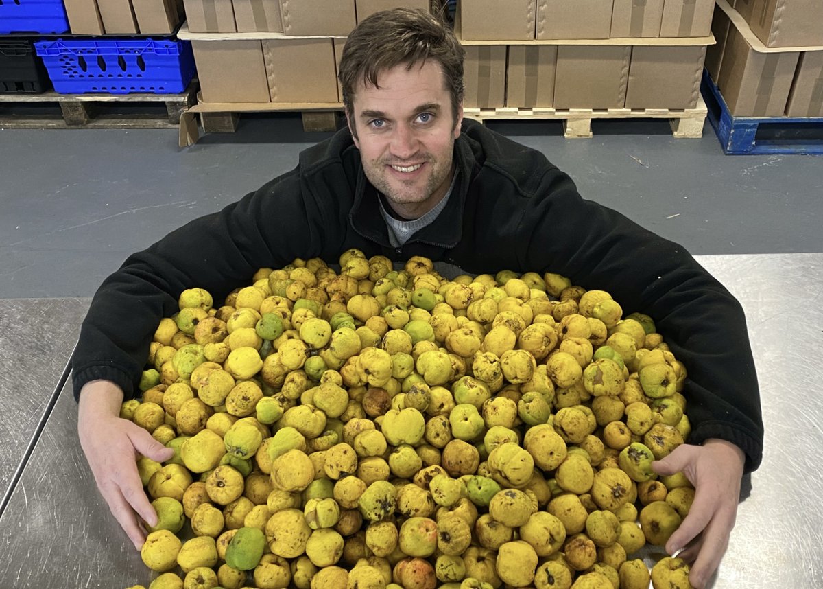 Thanks to all the folk that have made contributions to the recent foraging efforts! 😁

Recent haul of Japanese quince pictured. We are also on the lookout for sloes, rosehips, and hawthorn berries. Bring them to BB HQ in exchange for vouchers.

#ukforaging #foraging #eastlothian