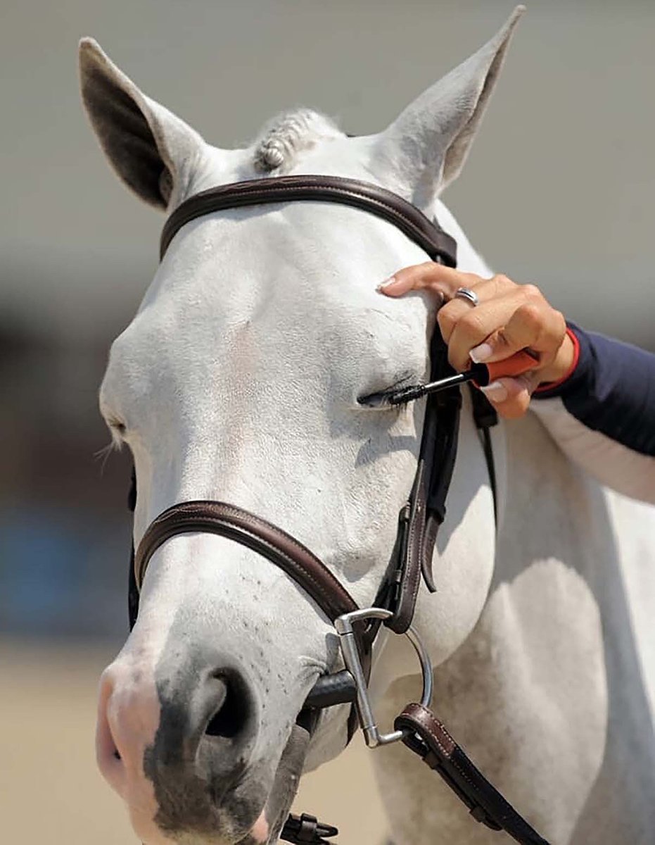 مها بنت عبدالعزيز. (@aangellla) on Twitter photo 