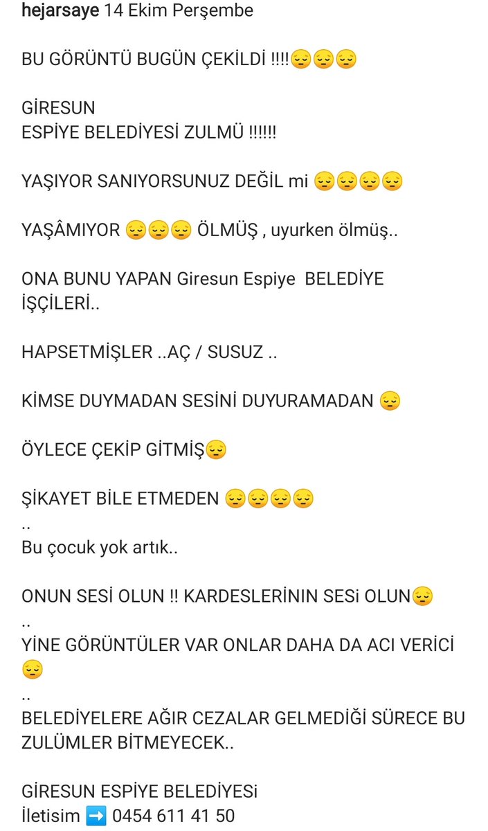 Biri artık bu belediyeleri DURDURSUN!