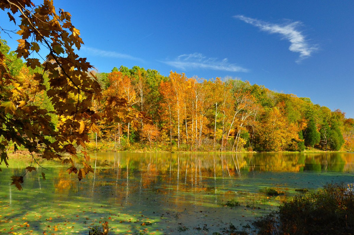 KRodeghier's tweet photo. Remembering an #autumn #roadtrip a few years ago to #springmillstatepark in #indiana @visitindiana #mtja @midwesttraveljournalists #fallfoliage #fallcolors #autumnleaves #leafpeeping @J1Midwest https://t.co/CfALZFPfwe