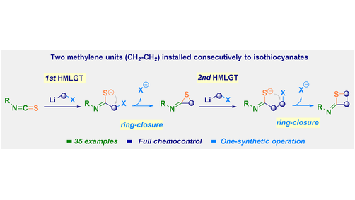 angew_chem's tweet image. Consecutive and Selective Double Methylene Insertion of Lithium Carbenoids to Isothiocyanates: A Direct Assembly of Four-Membered Sulfur-Containing Cycles (Pace) @LabPace @univienna #openaccess onlinelibrary.wiley.com/doi/10.1002/an…