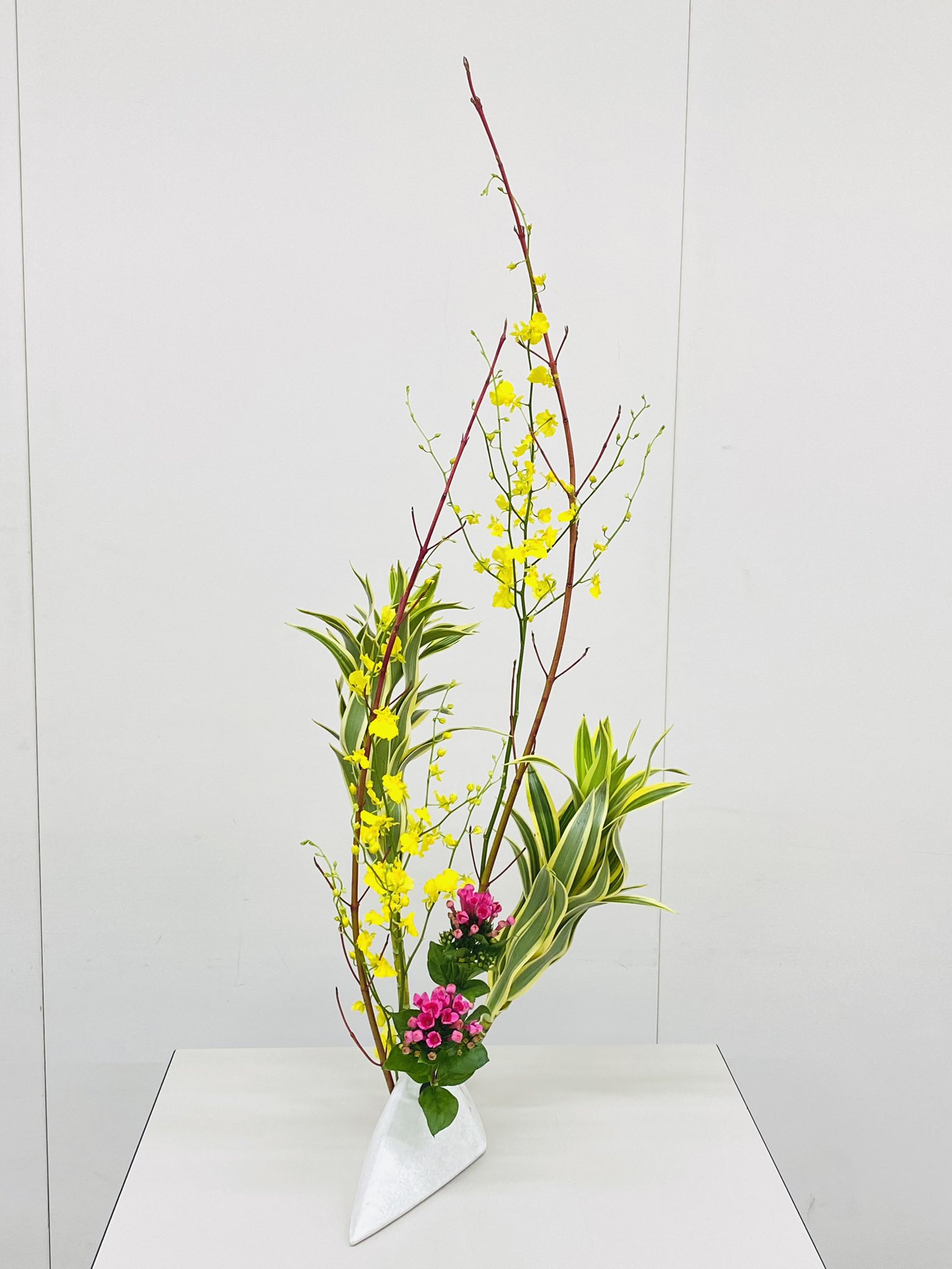 なうしか 赤い枝はサンゴミズキ 黄色の花はオンシジューム もさもさ葉っぱはインディアーナ ピンクの花はブバリア 久しぶりの 生け花 今回のテーマは 私の生け花 やっぱり上へスックと伸びるこの構図が好きなんよなぁ インディアーナは葉をホッチキス なうしか 赤い枝はサンゴミズキ 黄色の花はオンシジューム もさもさ葉っぱはインディアーナ ピンクの花はブバリア 久しぶりの 生け花 今回のテーマは 私の生け花 やっぱり上へスックと伸びるこの構図が好きなんよなぁ インディアーナは葉をホッチキス