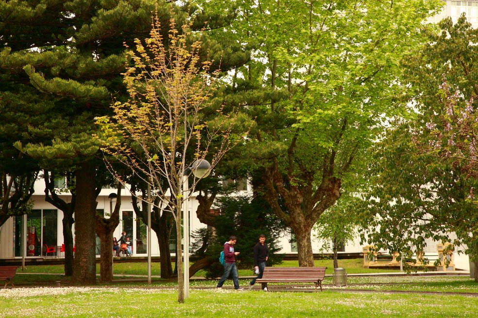 A Xunta aproba a creación da Escola Politécnica de Enxeñaría de Ferrol por integración en Esteiro da @Eupferrol (Serantes) e a @EpsUdc (Esteiro). A nova escola enmárcase no @CIFerrol, 1º campus de especialización acreditado do Sistema Universitario Galego bit.ly/3p0MD5O