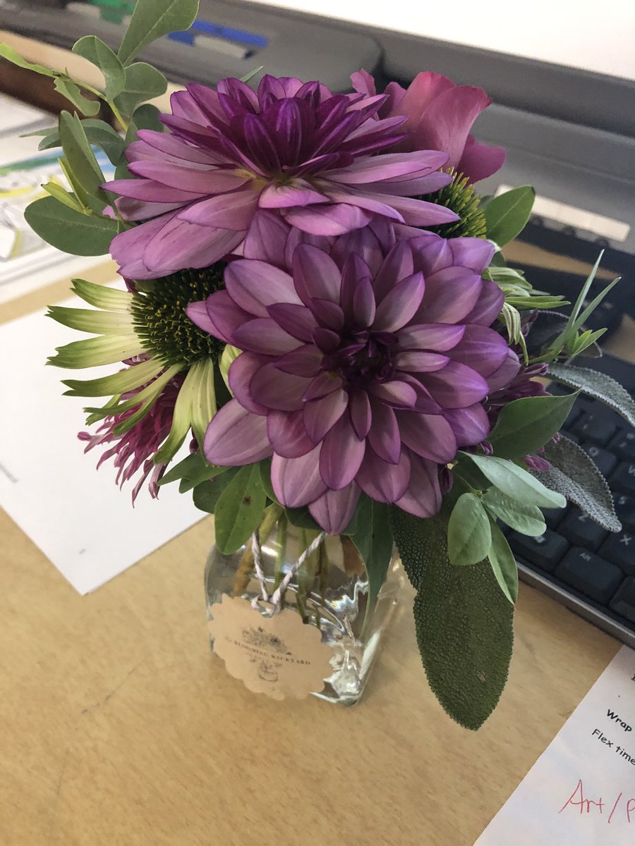 Tara Nutt tweet media