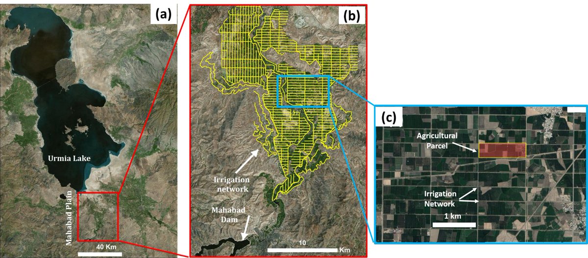 Ehsan Jalilvand tweet media