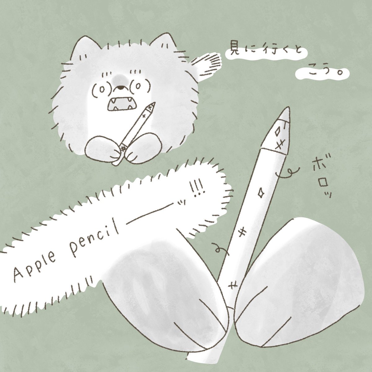 愛犬にApple Pencilやられた話①

#むくふわむっく 