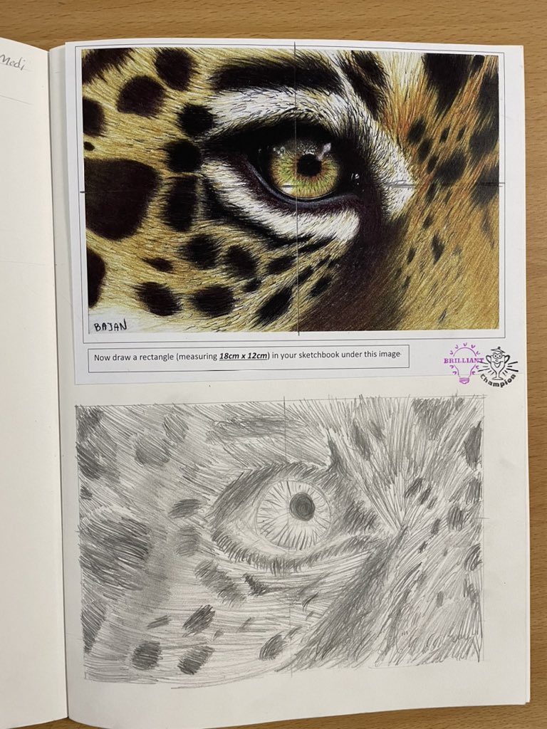 Croesyart1's tweet photo. Some wonderful leopards eye studies completed by year 7s this week. This task was started in class, developed looking at WWW/EBI targets then finished as homework. Gcse artists in the making! 😃✏️👌🏼 @Croesyyear7  @croesyschool https://t.co/7ELTGQgTT2
