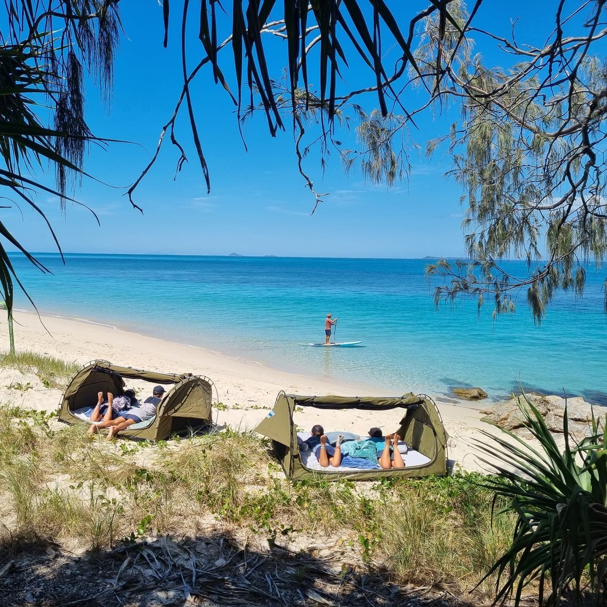 Queensland's tweet image. Let us reintroduce you to this pocket-rocket town. In #visitcapricorn coast, it's the gateway to the #southerngreatbarrierreef, #Keppelisland group, and a heap of fun. Ready? 👉j.mp/3FW4XmO #thisisqueensland 📸IG/picturesbymlz, rileys_travels, 4boysandacaravan