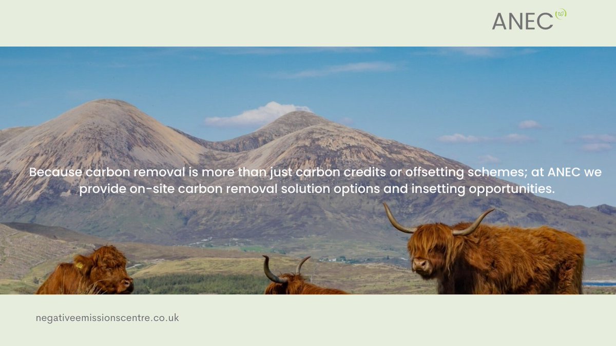 Carbon removal is more than just carbon credits or offsetting schemes; at ANEC we provide on-site carbon removal solution options and insetting opportunities.

Read more: ow.ly/rzly50GrjJj

Chat to our team: ow.ly/kdyU50GrjKw

#netzero #COP26 #climateaction