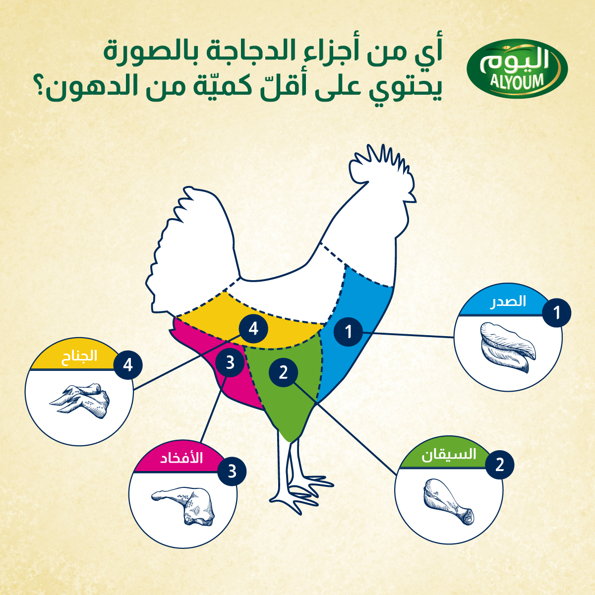 برأيكم أي من أجزاء الدجاجة بالصورة يحتوي على أقل كمية من الدهون؟! #دجاج_اليوم #المراعي