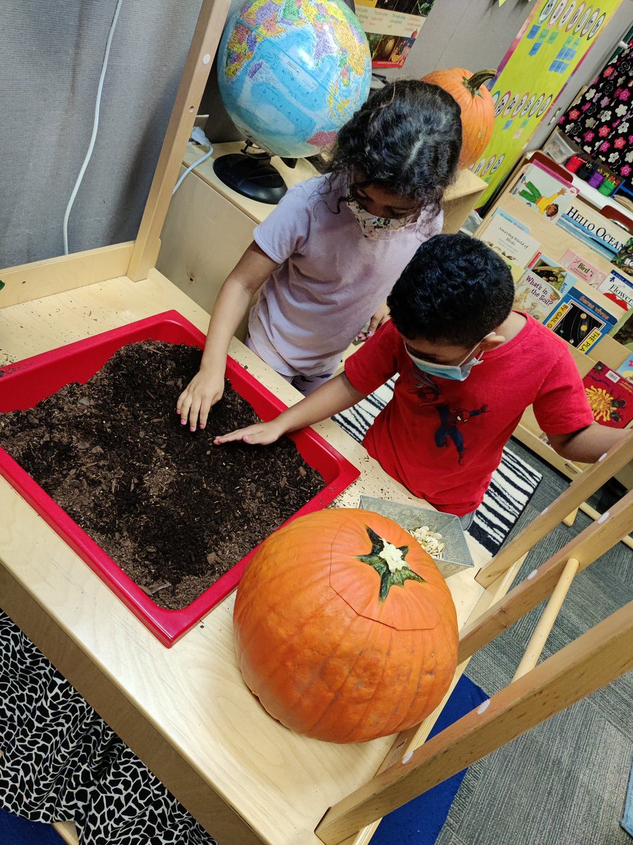 jvondrasekPreK's tweet photo. Pp is for Pumpkins! Learning not only letters and sounds, but all about how they grow, comparing pumpkins and using our five senses to explore! https://t.co/LrxIsMKvRw