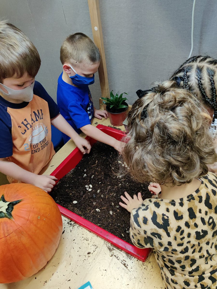jvondrasekPreK's tweet photo. Pp is for Pumpkins! Learning not only letters and sounds, but all about how they grow, comparing pumpkins and using our five senses to explore! https://t.co/LrxIsMKvRw