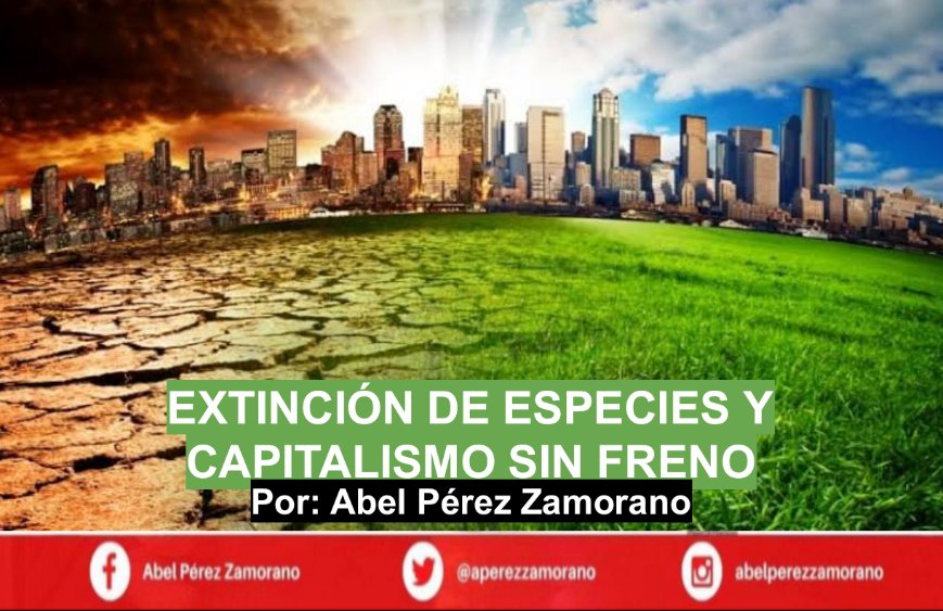 Abel Pérez Zamorano tweet media