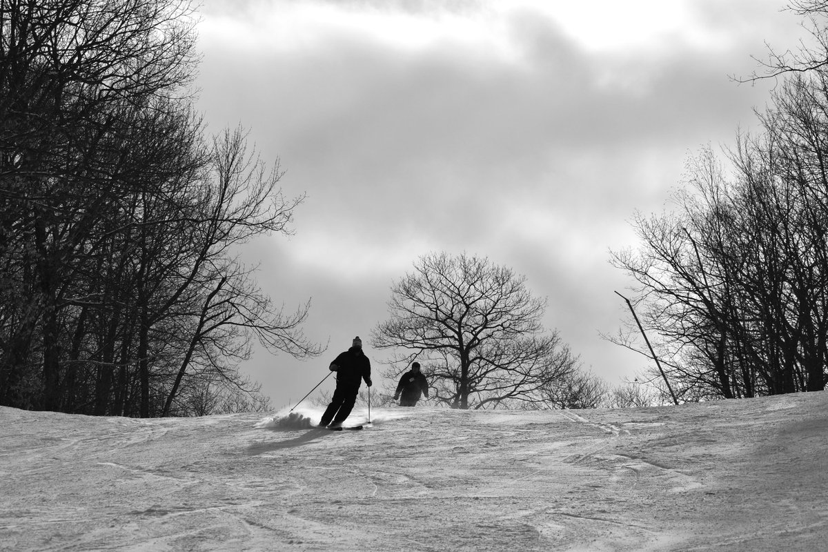 Ski Butternut tweet media