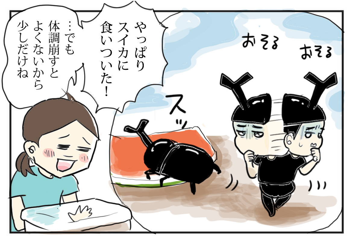 ブログ更新しました〜
『ひと夏の思い出…スイカ事件』
https://t.co/Muhojs2Omz
カブトムシの思い出とともに、かわいさを語る回
#コミックエッセイ #カブトムシ
