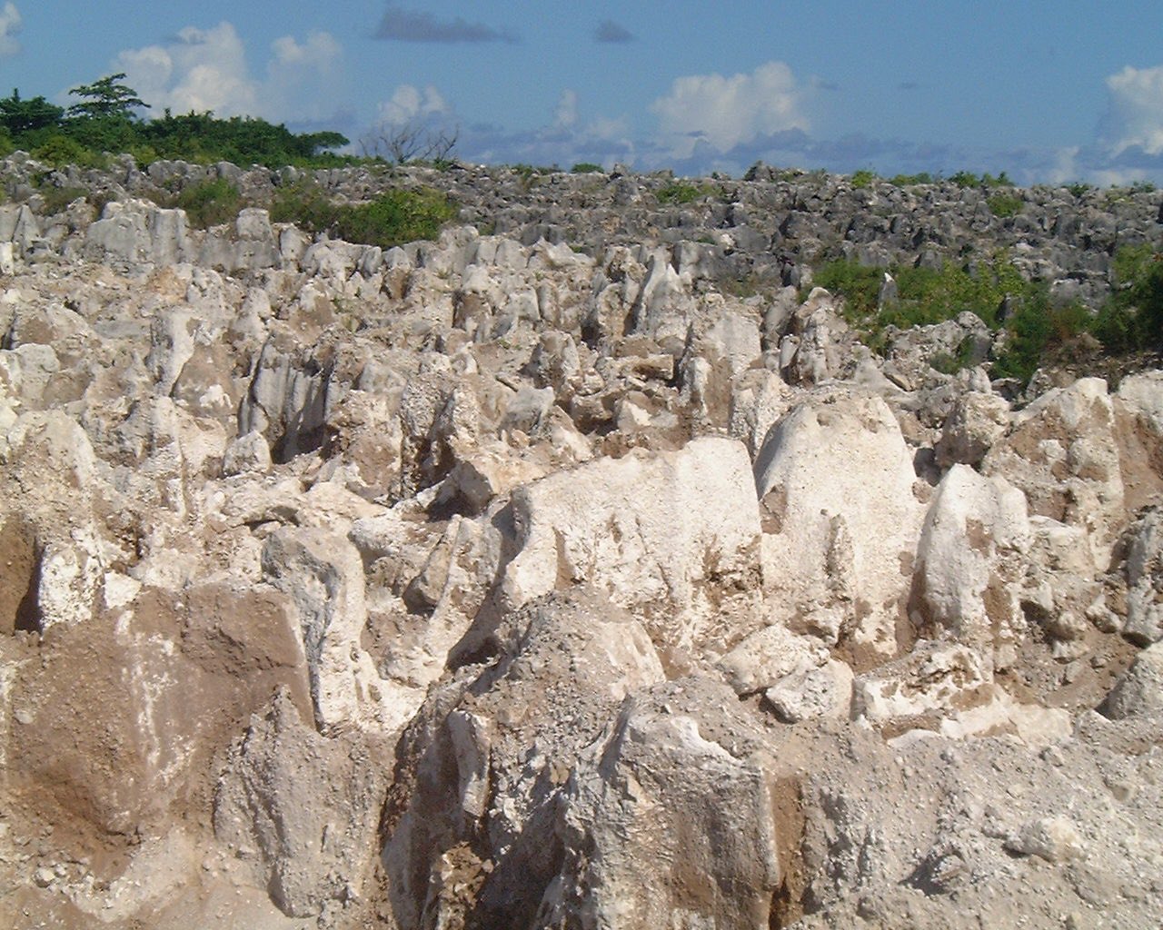 ナウル共和国政府観光局 公式 よくネットで書かれている 昔はリン鉱石採掘で栄えてナウルがお金持ちだった話の まさにそのリン 鉱石を掘った跡の写真 T Co 7nkosxv2sx Twitter ナウル共和国政府観光局 公式 よくネットで書かれている 昔はリン鉱石採掘で栄えてナウルがお金持ちだった話の まさにそのリン 鉱石を掘った跡の写真 T Co 7nkosxv2sx Twitter