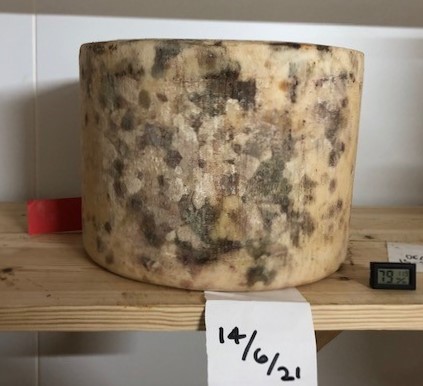 In May we launched Affineur of the Year with @quickescheese. Our competitors are 📣<a href="/Brindisa/">Brindisa</a> <a href="/BuchanansCheese/">Buchanans Cheesemonger</a>, <a href="/heritagecheese/">heritagecheese</a>, <a href="/Poachercheese/">Lincolnshire Poacher</a> <a href="/NealsYardDairy/">Neal's Yard Dairy</a> <a href="/No2PoundSt/">No.2 Pound Street</a>, <a href="/paxtonscheese/">Paxton & Whitfield</a> &amp; <a href="/rennetandrind/">Rennet & Rind</a> Stay tuned for updates!
hubs.la/H0ZmSTy0