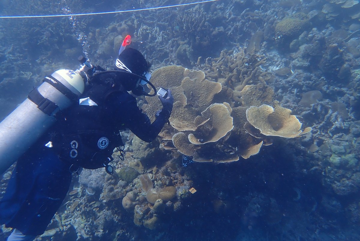 jr_guest's tweet photo. Come and join us! Another exciting opportunity for a lecturer/senior lecturer in marine biology at @UniofNewcastle @SciencesNCL 

Closing date for applications Nov 11

https://t.co/PN0sFZMxGG https://t.co/4mZYQCOAD2