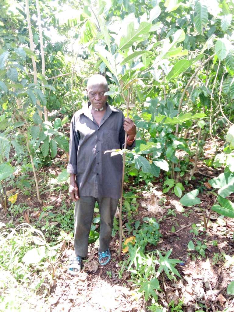 tistprogram's tweet photo. Trees mean so much to TIST Farmers. Crops vary, weather changes, family members fall ill, clean water can be hard to get.
Trees provide shade, water retention, erosion prevention, wind blockage, fuel, fodder, natural medicines & food for family.
We mean it: #ouransweristrees https://t.co/3bknKFarlH