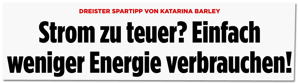 BILDblog tweet media