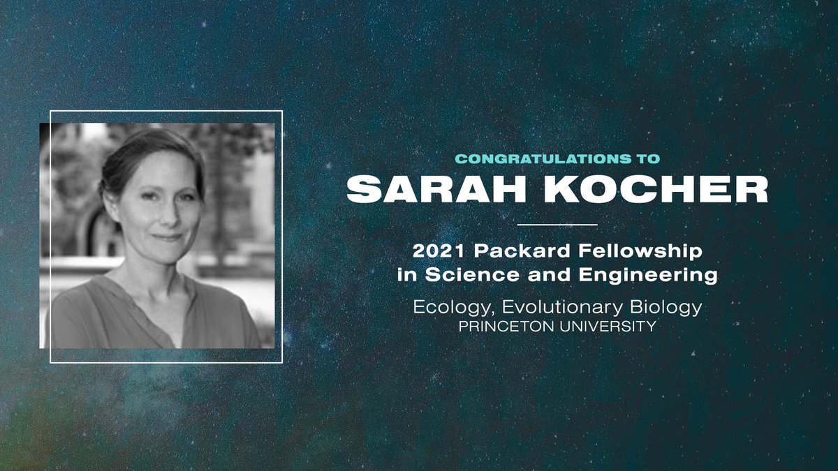 Packard Foundation tweet media