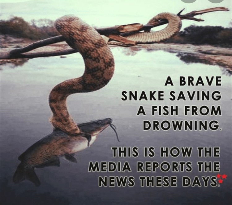 AmericanIndian8's tweet image. #INDIGENOUS #TAIRP