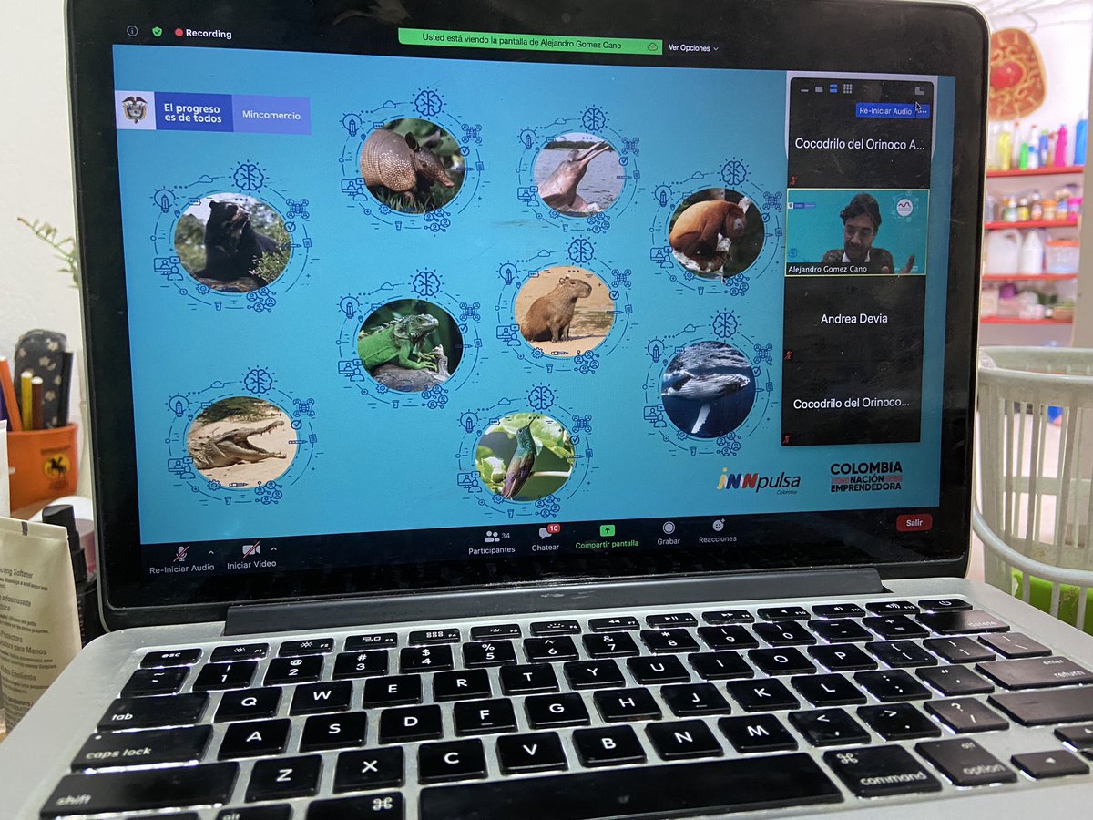 angelicapenac's tweet photo. Nación Emprendedora
Excelente capacitación acerca de Habilidades Blandas #emprendetón
@InnpulsaCol #gracias #elMeta #Villavicencio
#soycocodrilodeorinoco https://t.co/NqFEnaKNzy