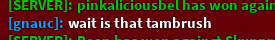 TamBrush tweet media