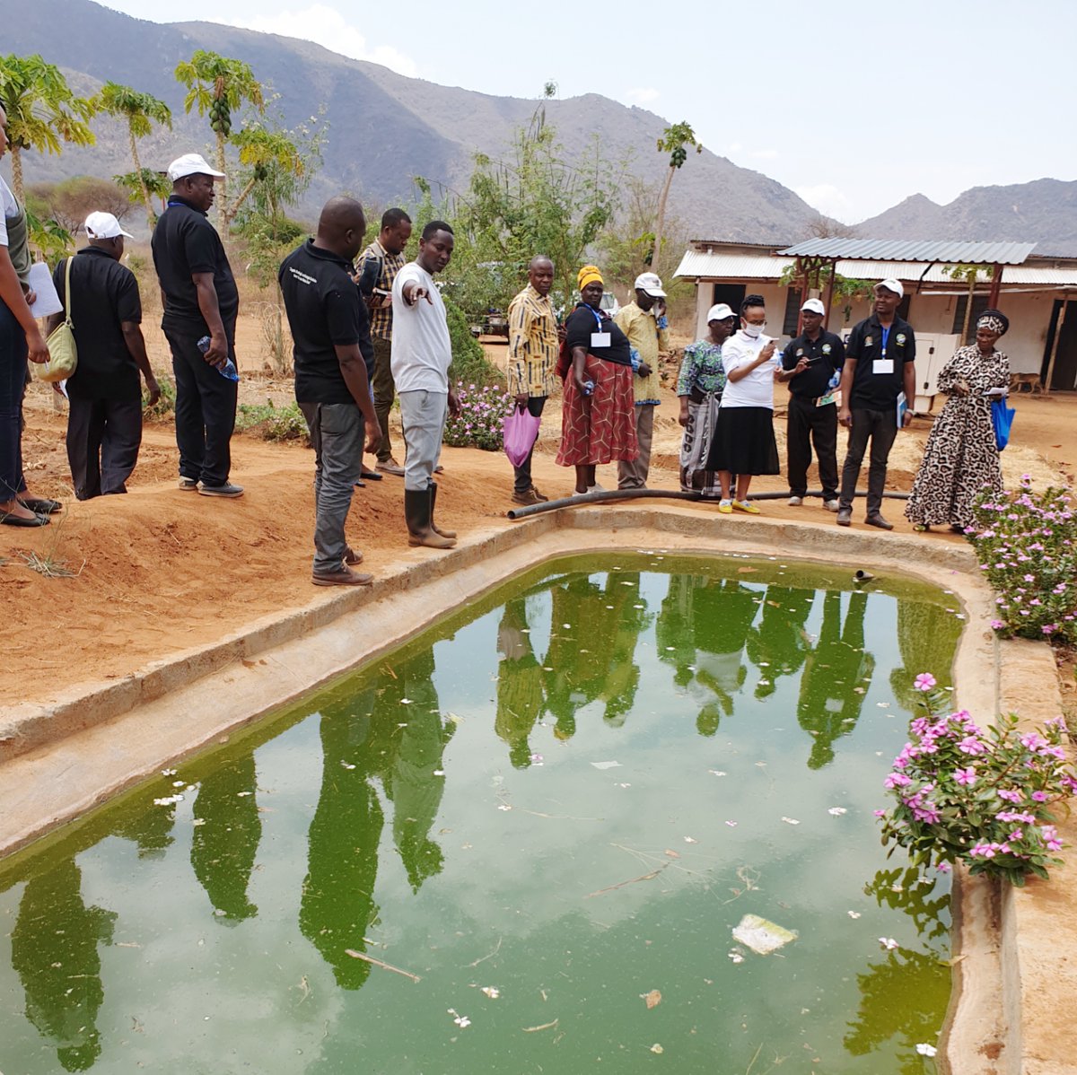 WFP_Tanzania's tweet photo. .@UnitedNationsTZ agencies &amp; Partners had a great learning session with @sjsorganictz in Mwanga #Kilimanjaro on how they are addressing hunger &amp; mitigating climate change through Ecological Sustainable Organic Agriculture #zerohunger #healthyfoodsystems
#WorldFoodDay #FoodHeroes https://t.co/lmakW3jJI2