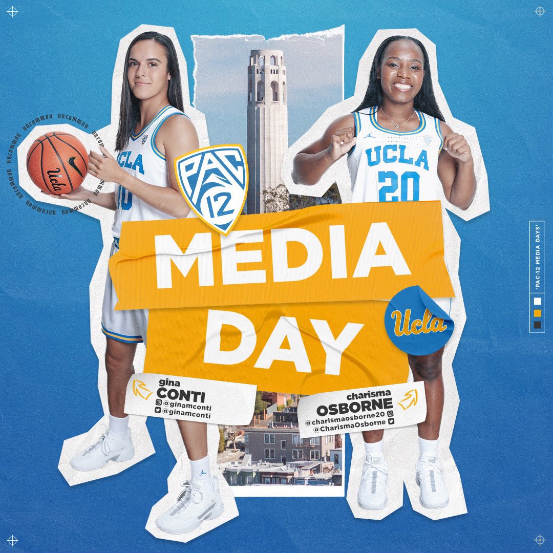 SkullSparks's tweet photo. Visual series for @UCLAMBB, @UCLAWBB https://t.co/TZv70br3dA