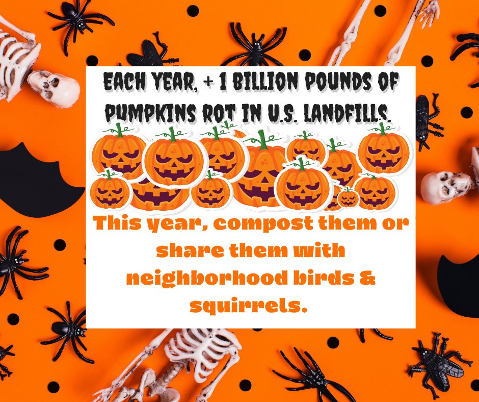 FoodRescueAR's tweet image. #compostingtips #urbancomposting #zerowaste #compost #composting