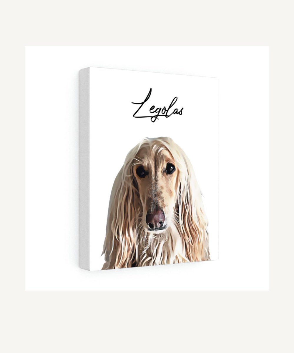 Legolas_the_Afghanhound tweet media