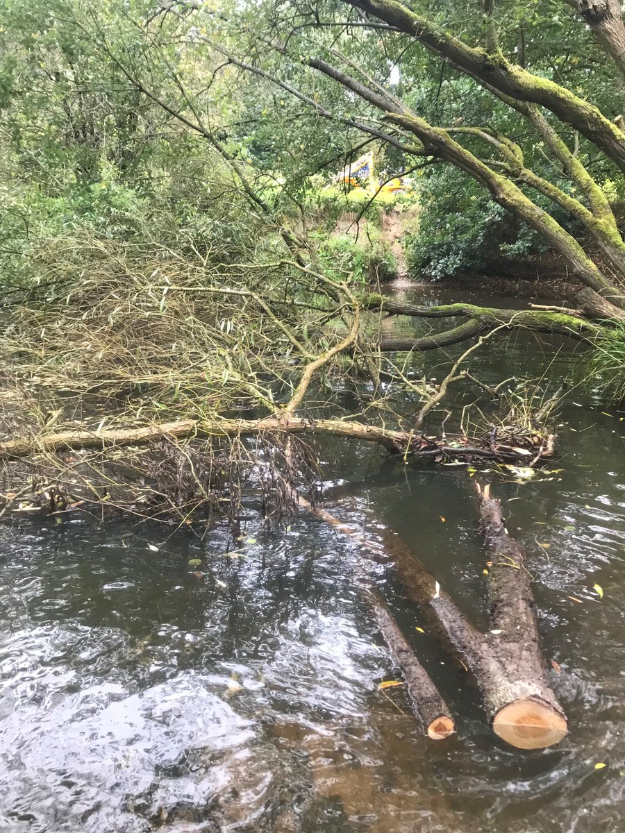 Image shows large tree blocking the watercourse at Micker Brook
